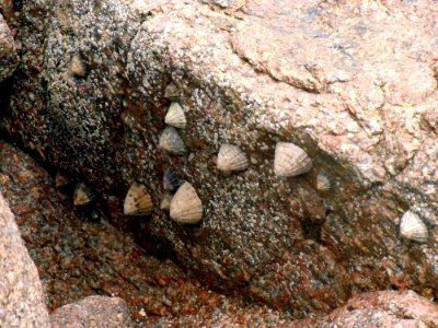 Rock Bedrock Geology Soil photo