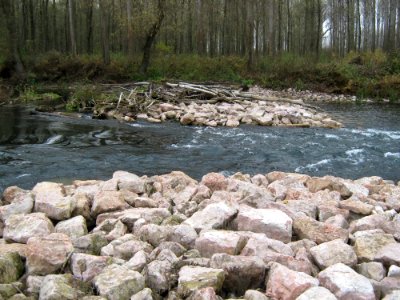 Rock Stream Creek Stream Bed