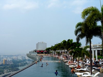 Waterway Body Of Water Sea Palm Tree