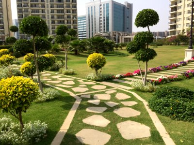 Garden Walkway Flora Plant