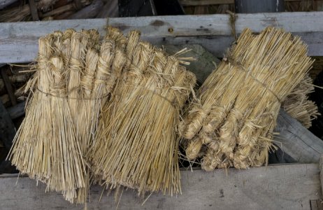 Straw Grass Family Rope Commodity photo