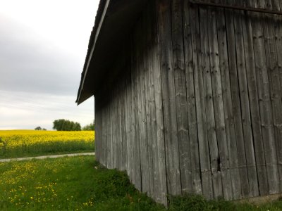 Grass Sky Wood House