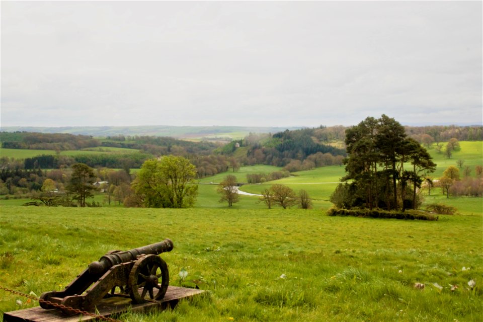 Grassland Hill Grass Pasture