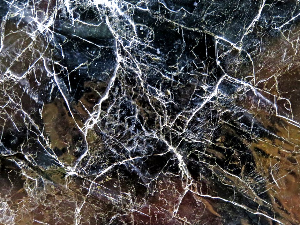Branch Spider Web Tree Water
