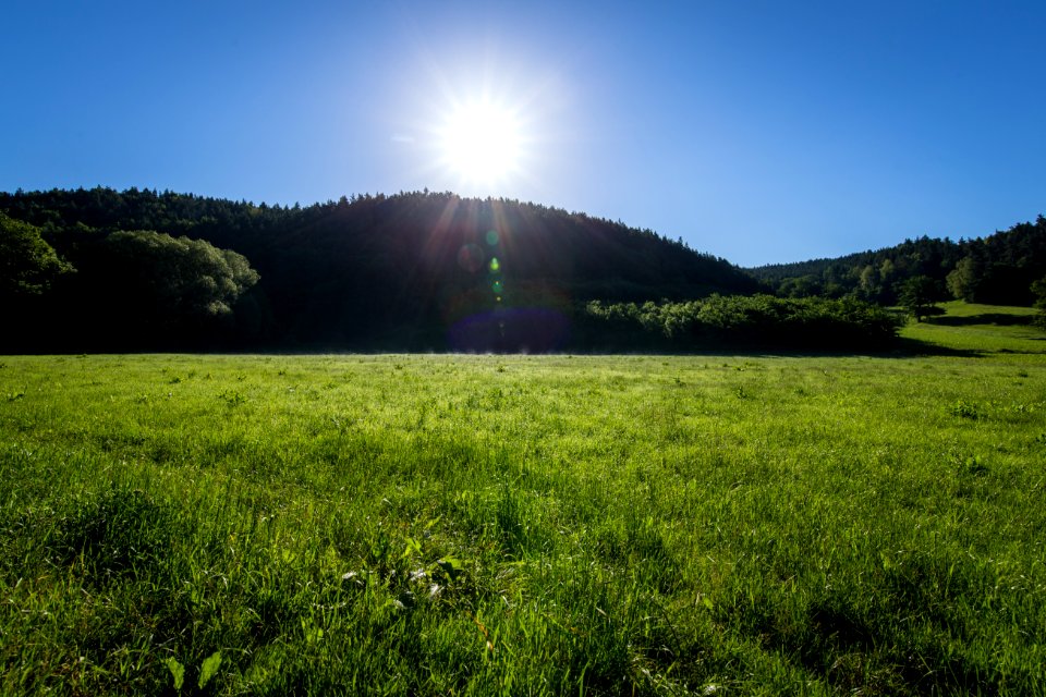 Grassland Meadow Sky Pasture