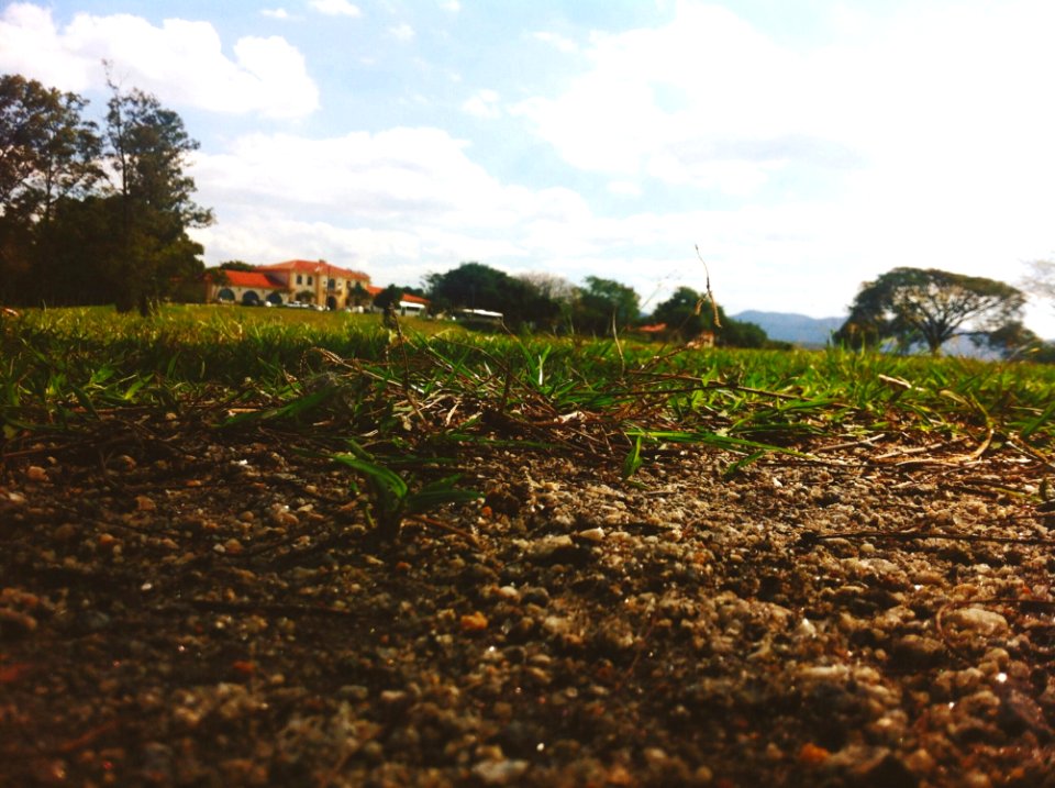 Soil Vegetation Sky Land Lot