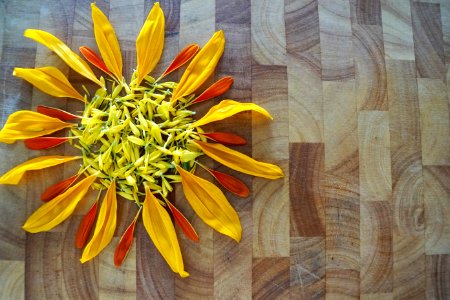 Flower Yellow Flora Sunflower photo