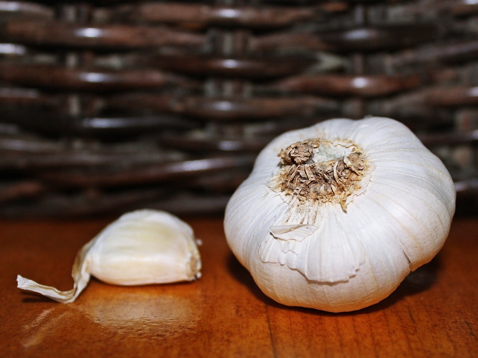 Still still life decorative