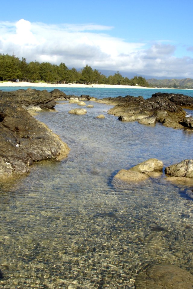 Shore Water Coast Sea