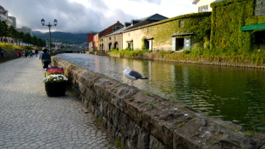 Waterway Canal Body Of Water Town