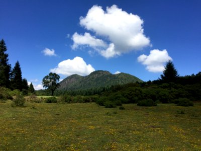 Sky Grassland Cloud Ecosystem photo