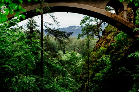 Vegetation Nature Nature Reserve Ecosystem photo