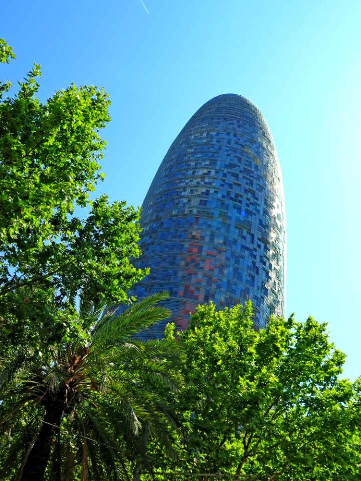 Sky Leaf Landmark Tree