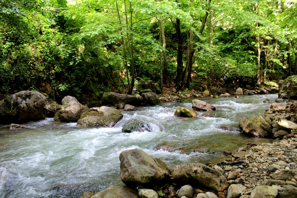 Stream Water Nature Body Of Water