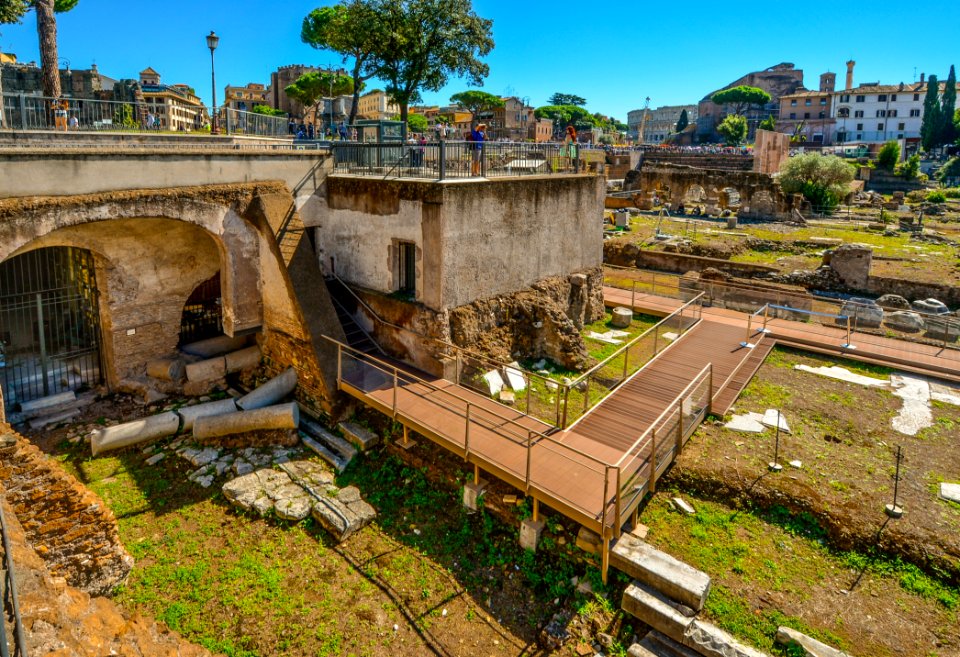 Ancient History Ruins Tree Plant