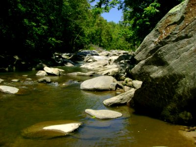Stream Water Nature Watercourse