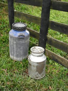 Drinkware Grass Water Tree