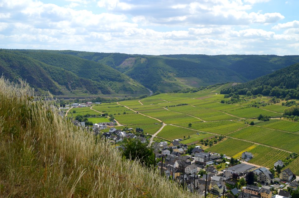 Highland Grassland Hill Rural Area