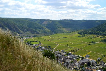 Highland Grassland Hill Rural Area photo