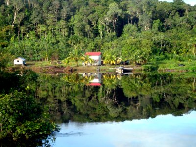 Waterway Nature Reserve Reflection Vegetation photo