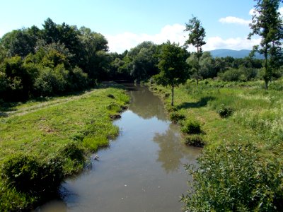 Waterway Riparian Zone Nature Reserve Water Resources photo