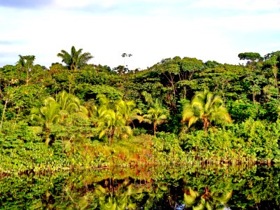 Vegetation Nature Reserve Ecosystem Shrubland