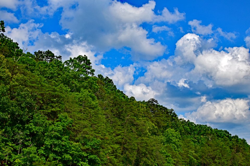 Sky Vegetation Cloud Nature