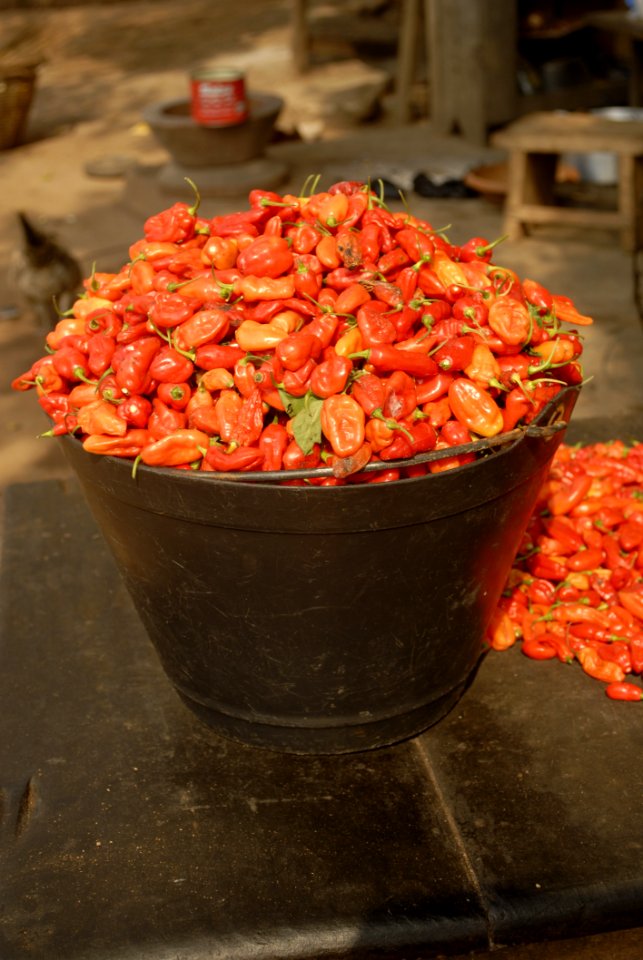 Vegetable Fruit Spice Produce