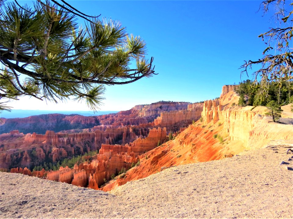 Badlands Ecosystem Wilderness Canyon