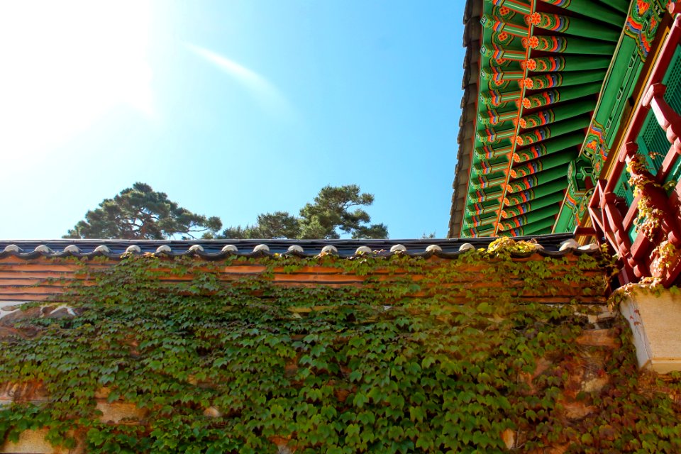 Landmark Sky Leaf Roof