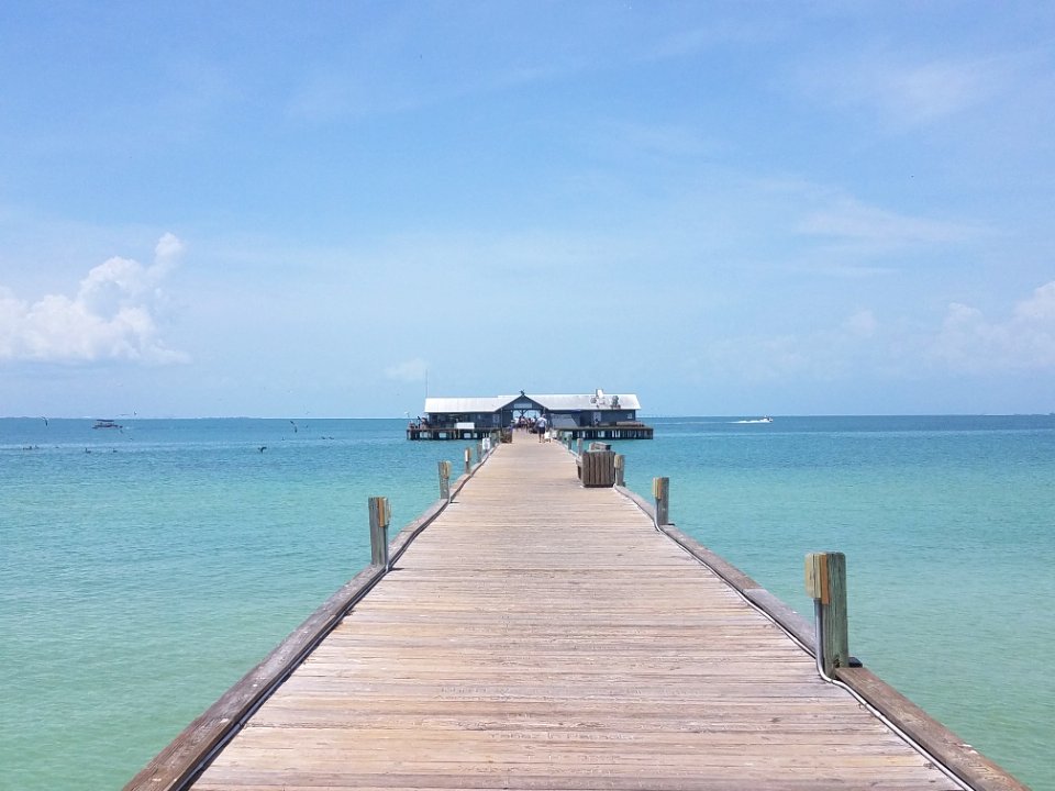 Sea Coastal And Oceanic Landforms Pier Ocean
