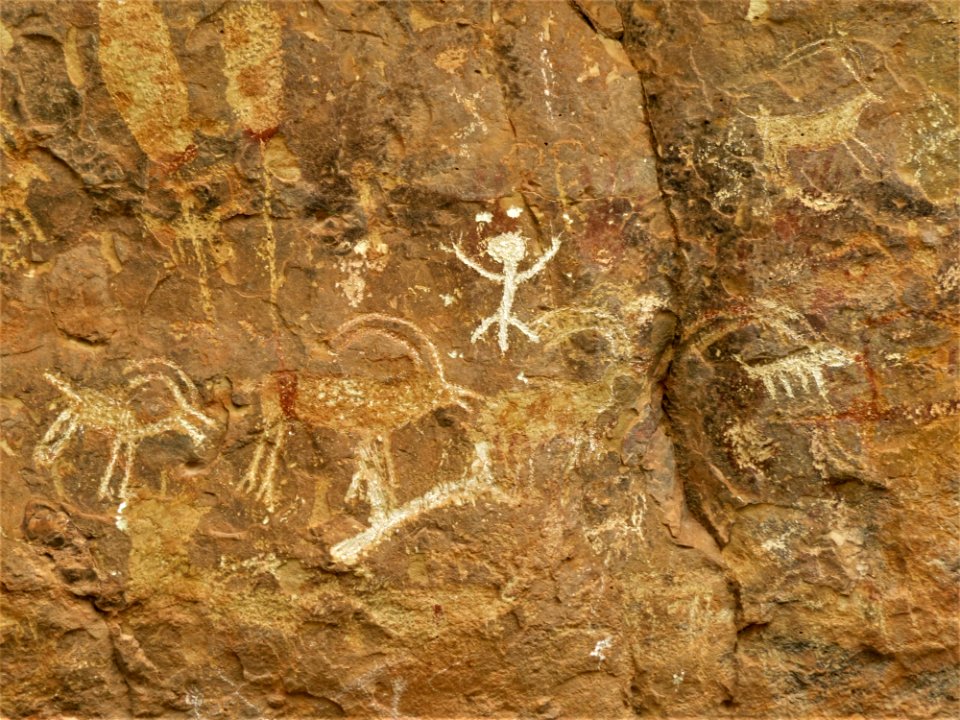 Rock Fauna Geology Bedrock