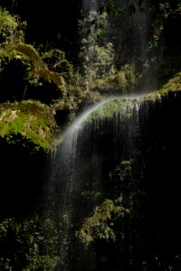 Water Nature Waterfall Vegetation