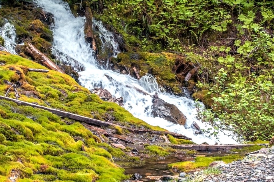 Waterfall Nature Reserve Body Of Water Vegetation