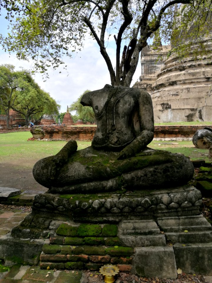 Sculpture Statue Tree Monument