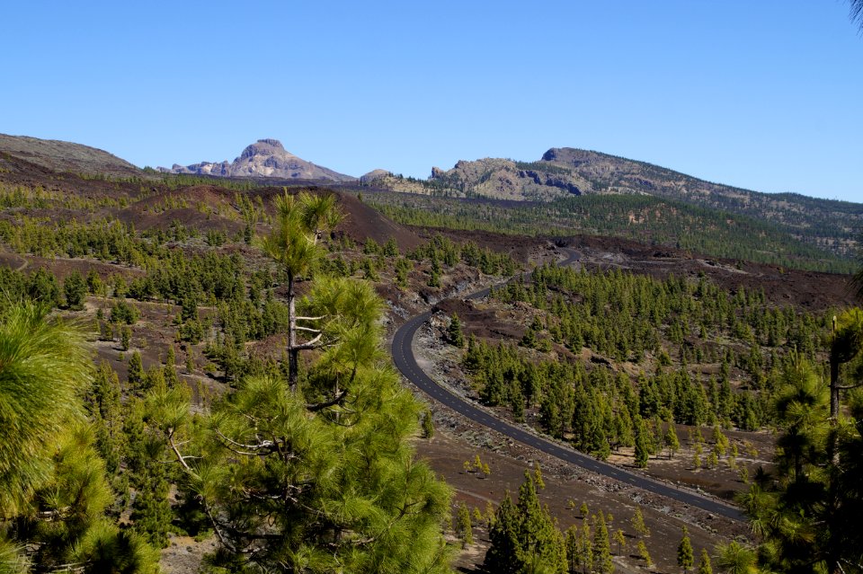 Wilderness Mountain Mountainous Landforms Tree