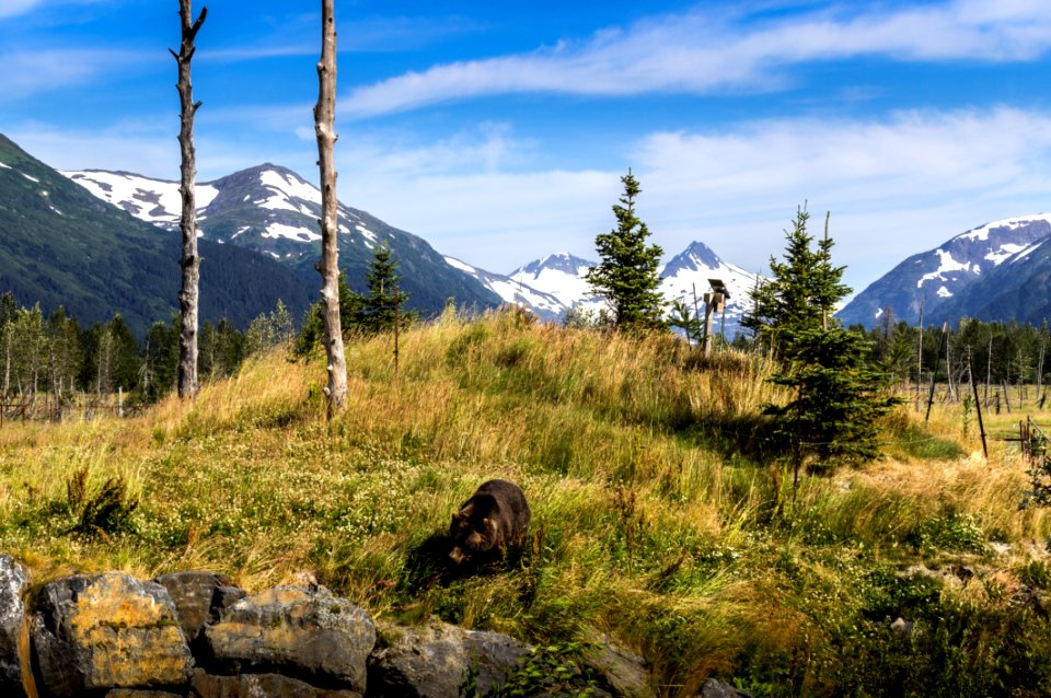 Wilderness Nature Mountain Mountainous Landforms