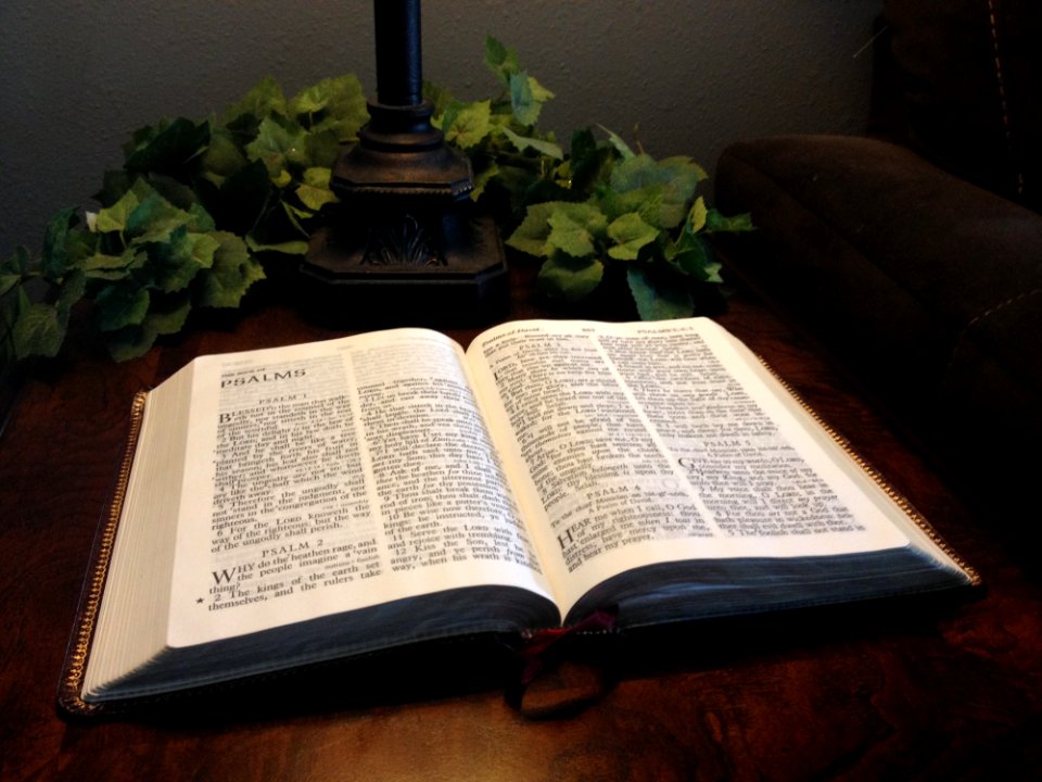 Text Furniture Book Table