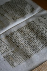 Text Wood Material Font