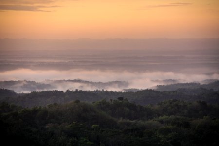 Sky Mist Dawn Morning photo