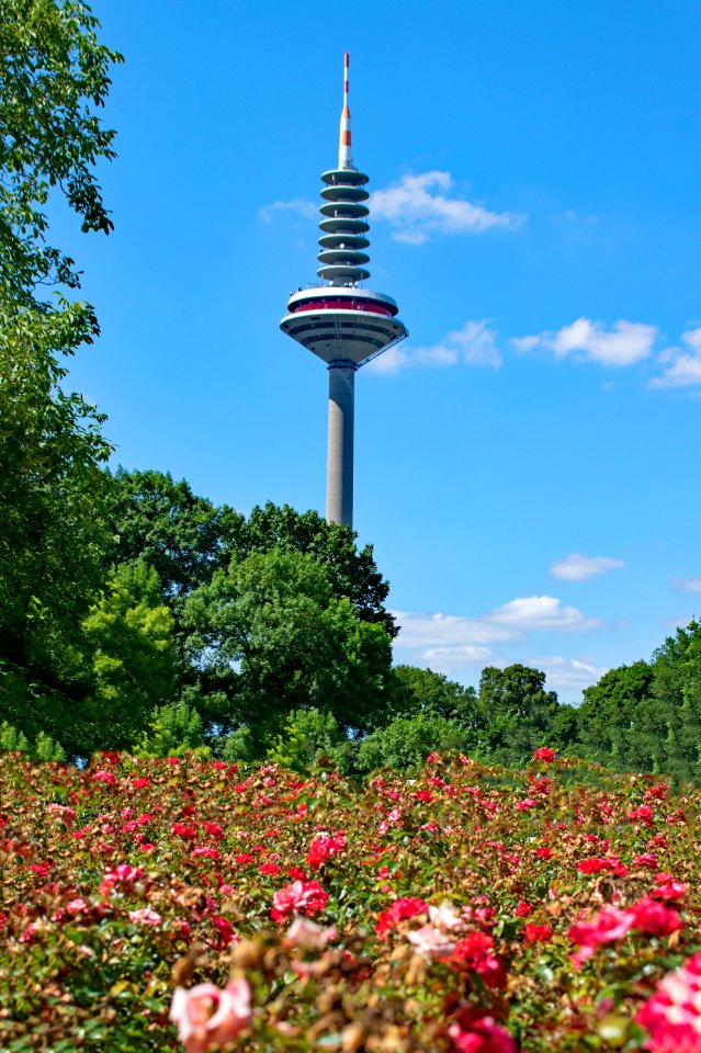 Landmark Tower Sky Flower