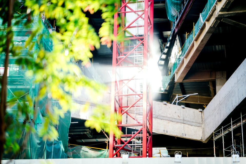 Green Leafed Tree Beside Red Metal Trusses And Building
