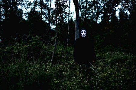 Man In Middle Of Grass Field photo