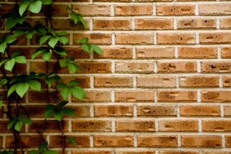 Wall Brick Brickwork Wood photo