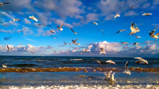 Sky Sea Ecosystem Water