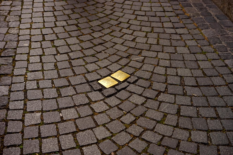 Cobblestone Road Surface Grass Pattern