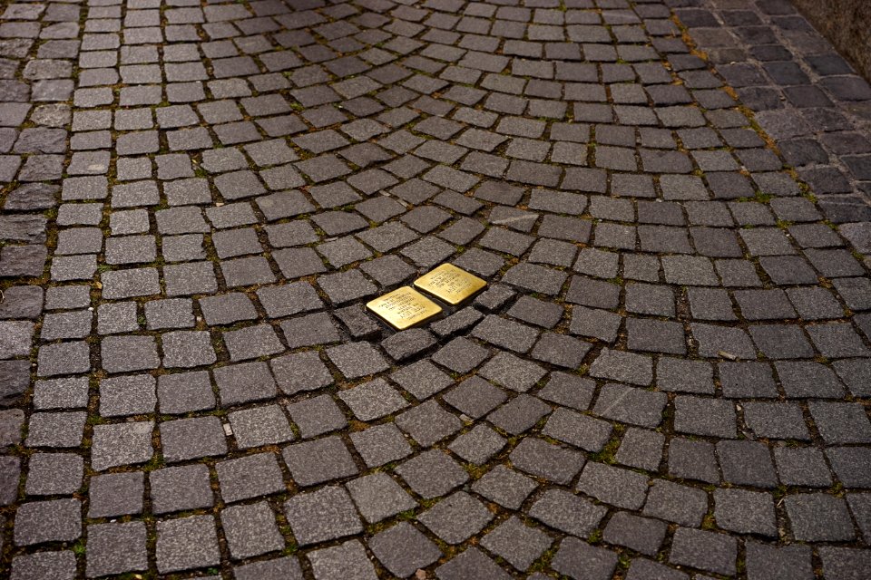 Cobblestone Road Surface Grass Pattern photo