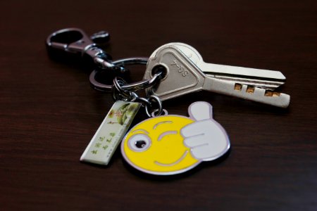 Fashion Accessory Keychain Product Hardware