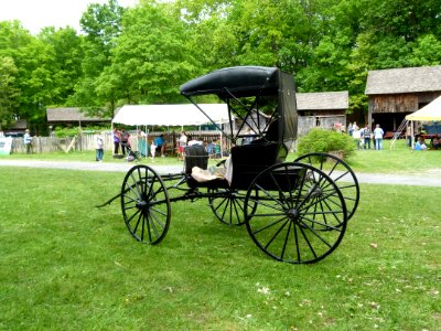 Carriage Horse And Buggy Vehicle Motor Vehicle photo