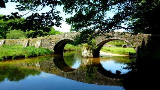 Reflection Waterway Nature Bridge